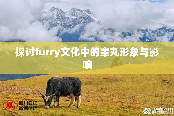 探讨furry文化中的睾丸形象与影响