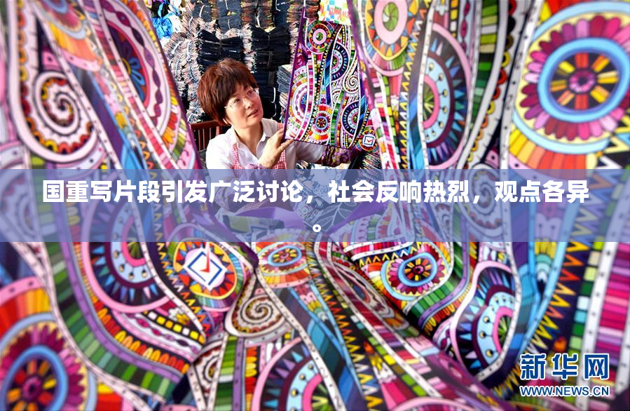 国重写片段引发广泛讨论，社会反响热烈，观点各异。