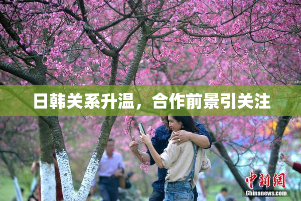 日韩关系升温，合作前景引关注