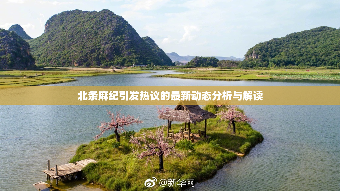 北条麻纪引发热议的最新动态分析与解读