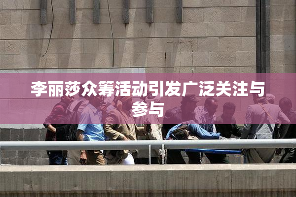 李丽莎众筹活动引发广泛关注与参与