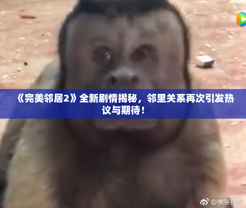 《完美邻居2》全新剧情揭秘，邻里关系再次引发热议与期待！