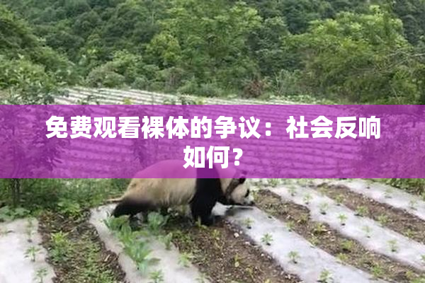 免费观看裸体的争议：社会反响如何？