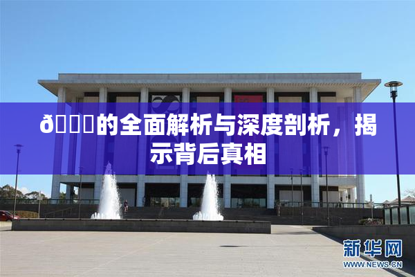 🈚的全面解析与深度剖析，揭示背后真相