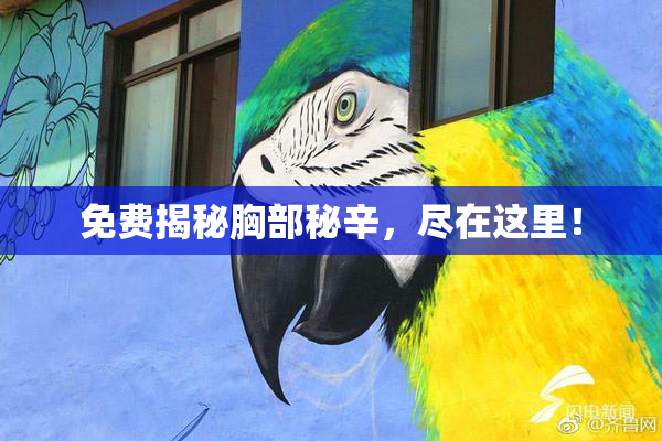 免费揭秘胸部秘辛，尽在这里！