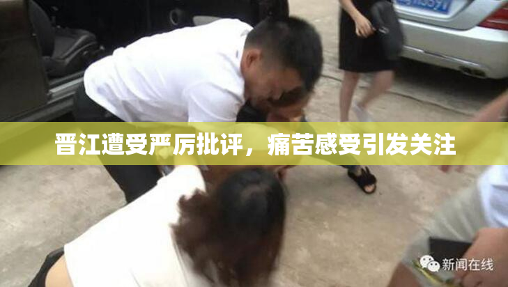 晋江遭受严厉批评，痛苦感受引发关注