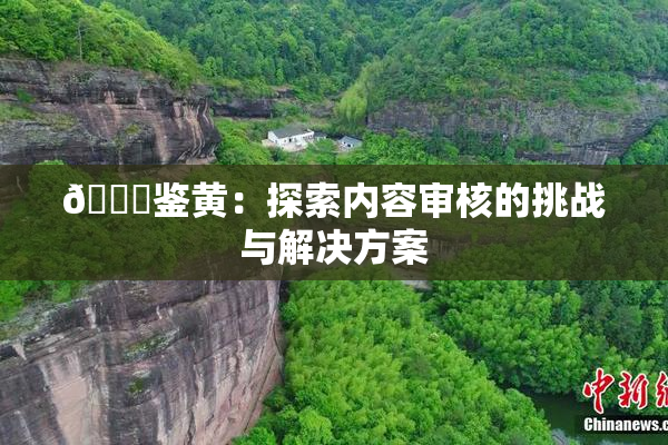 🔞鉴黄：探索内容审核的挑战与解决方案
