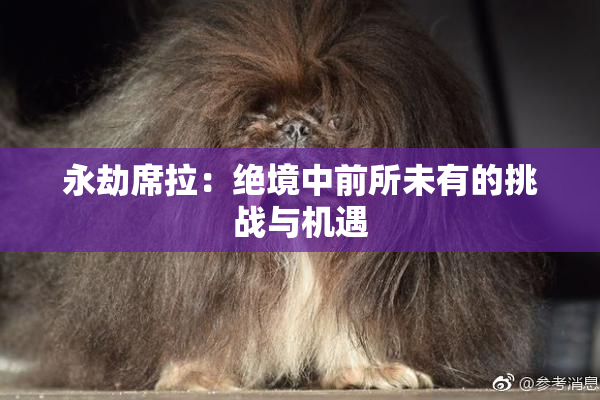 永劫席拉：绝境中前所未有的挑战与机遇