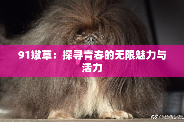 91嫩草：探寻青春的无限魅力与活力