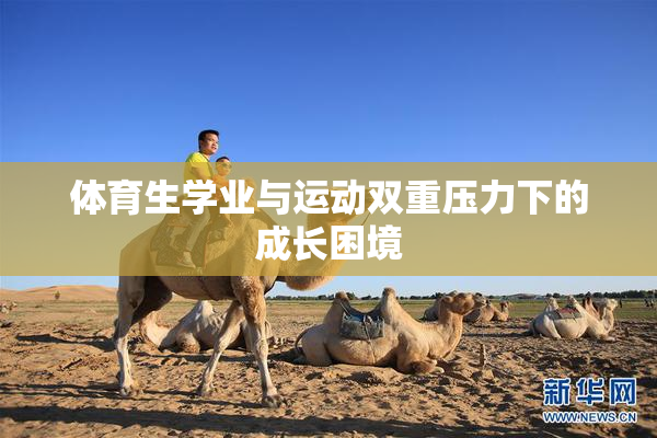 体育生学业与运动双重压力下的成长困境