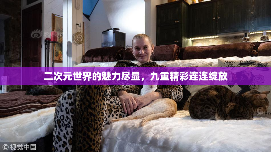 二次元世界的魅力尽显，九重精彩连连绽放