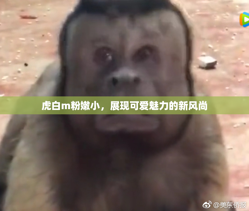 虎白m粉嫩小，展现可爱魅力的新风尚