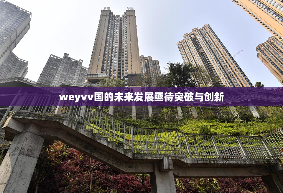 weyvv国的未来发展亟待突破与创新