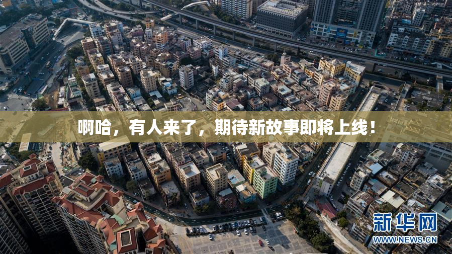 啊哈，有人来了，期待新故事即将上线！