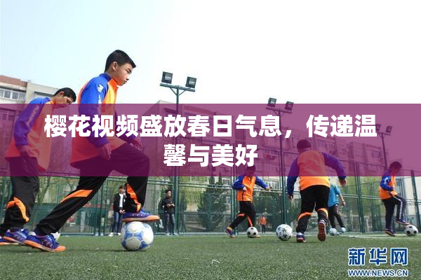 樱花视频盛放春日气息，传递温馨与美好