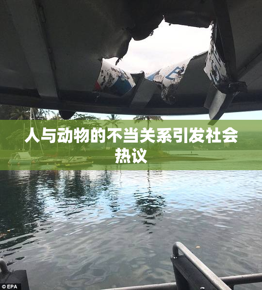 人与动物的不当关系引发社会热议