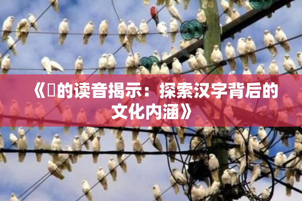 《屍的读音揭示：探索汉字背后的文化内涵》