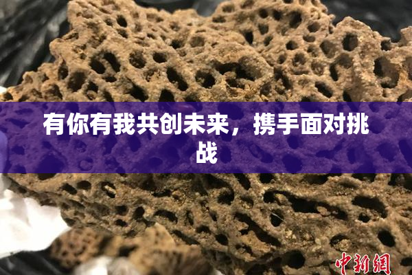 有你有我共创未来，携手面对挑战