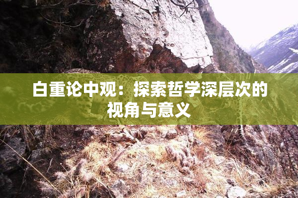 白重论中观：探索哲学深层次的视角与意义