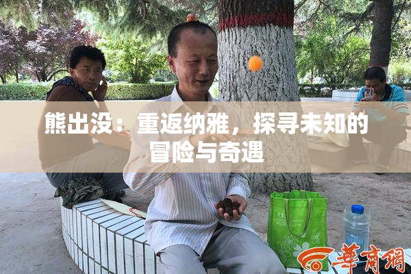 熊出没：重返纳雅，探寻未知的冒险与奇遇
