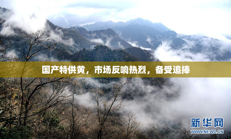 国产特供黄，市场反响热烈，备受追捧