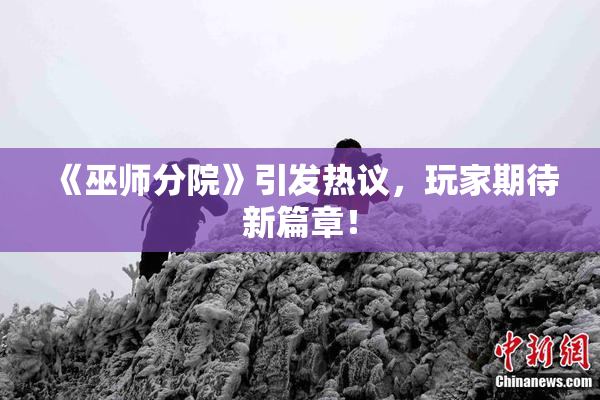 《巫师分院》引发热议，玩家期待新篇章！