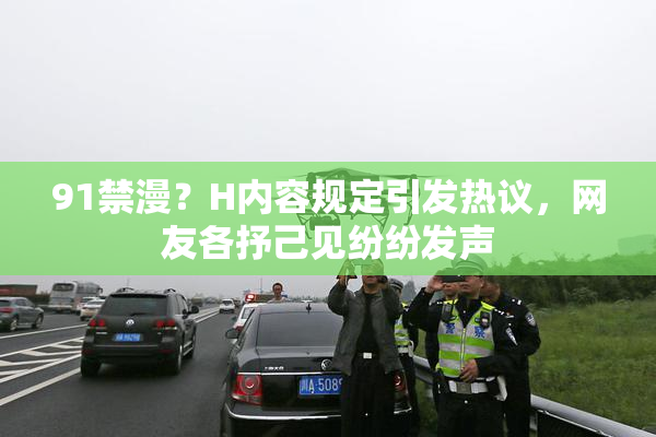 91禁漫？H内容规定引发热议，网友各抒己见纷纷发声
