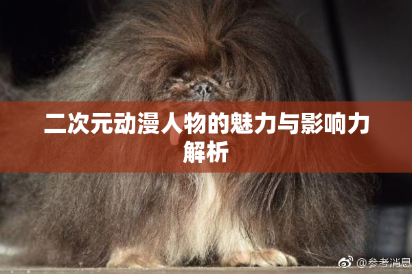 二次元动漫人物的魅力与影响力解析