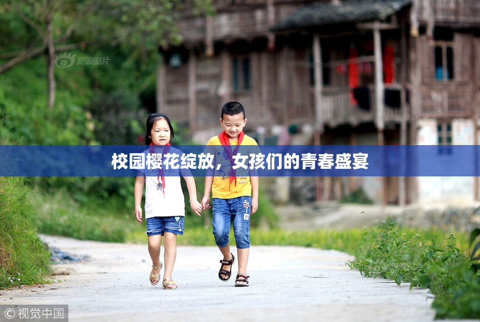 校园樱花绽放，女孩们的青春盛宴