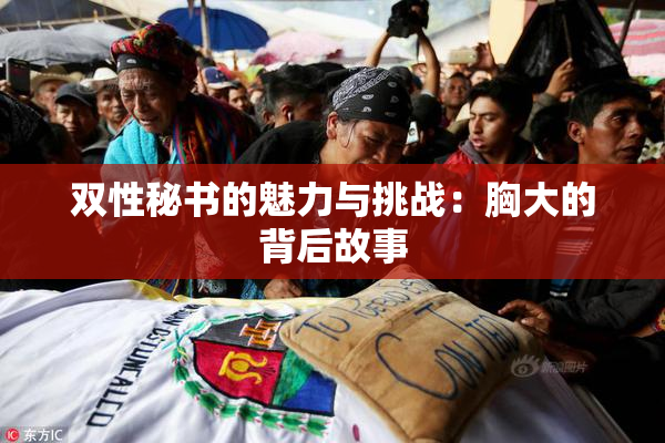 双性秘书的魅力与挑战：胸大的背后故事
