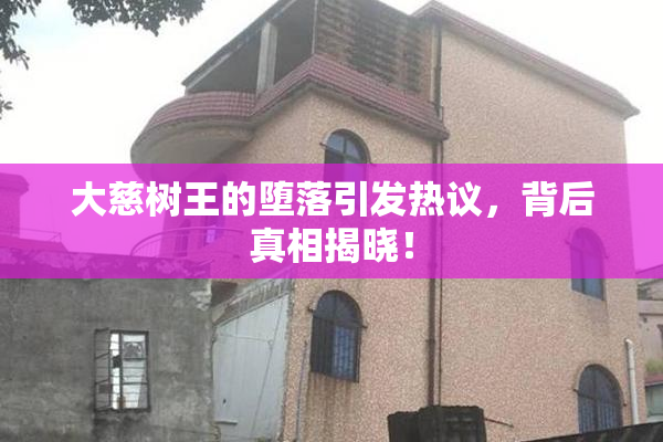 大慈树王的堕落引发热议，背后真相揭晓！
