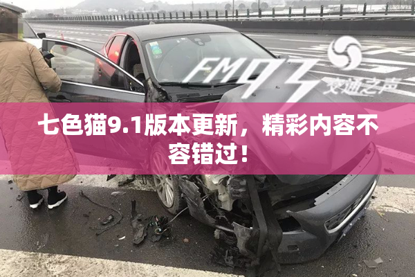 七色猫9.1版本更新，精彩内容不容错过！