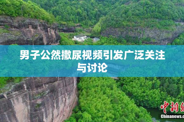 男子公然撒尿视频引发广泛关注与讨论