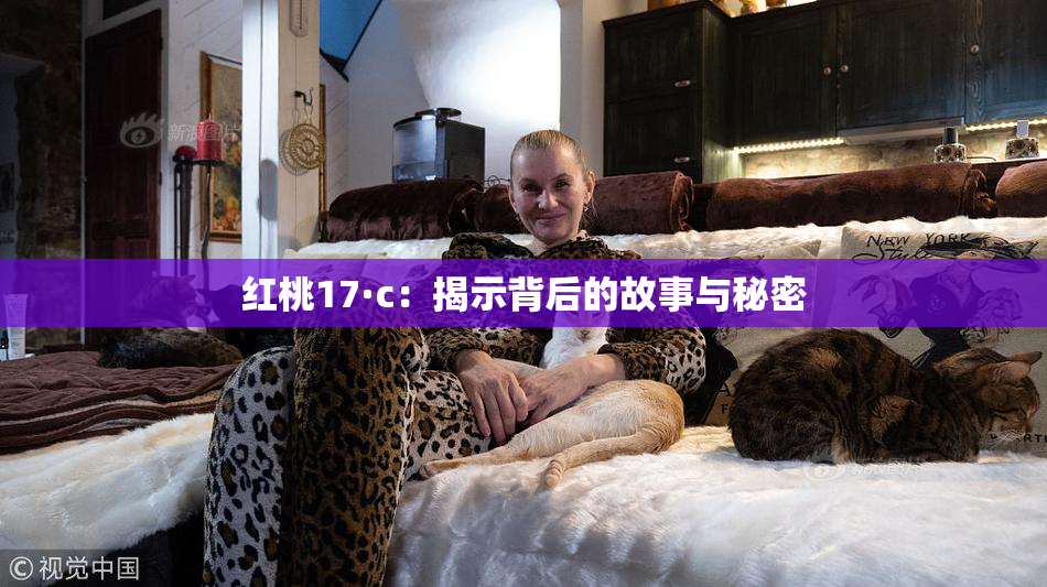 红桃17·c：揭示背后的故事与秘密