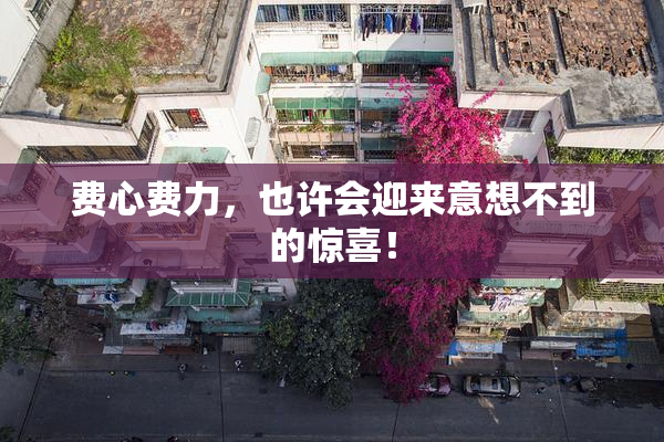 费心费力，也许会迎来意想不到的惊喜！