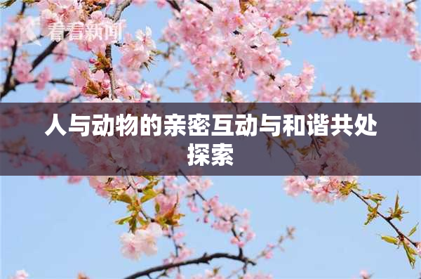 人与动物的亲密互动与和谐共处探索