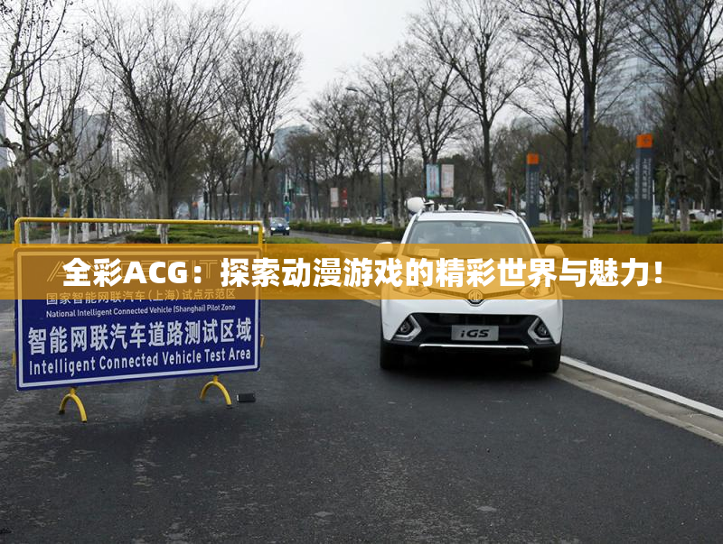 全彩ACG：探索动漫游戏的精彩世界与魅力！