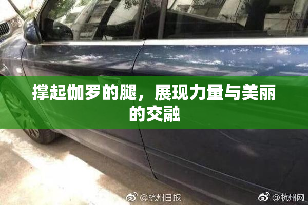 撑起伽罗的腿，展现力量与美丽的交融
