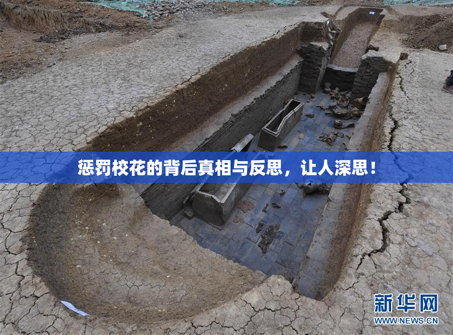 惩罚校花的背后真相与反思，让人深思！