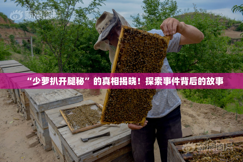 “少萝扒开腿秘”的真相揭晓！探索事件背后的故事