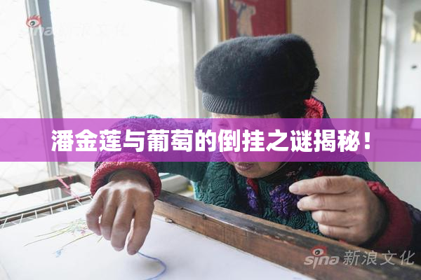 潘金莲与葡萄的倒挂之谜揭秘！