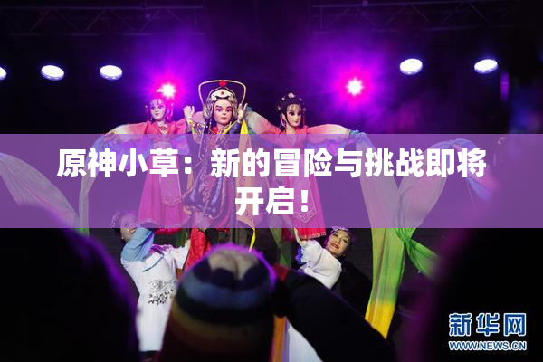 原神小草：新的冒险与挑战即将开启！
