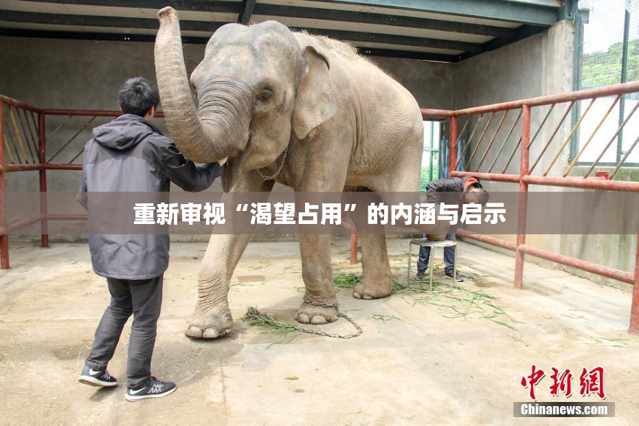 重新审视“渴望占用”的内涵与启示