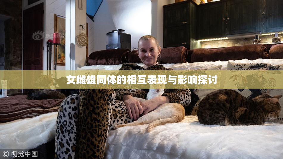 女雌雄同体的相互表现与影响探讨