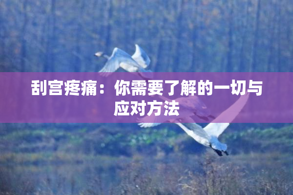 刮宫疼痛：你需要了解的一切与应对方法