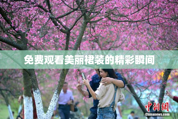 免费观看美丽裙装的精彩瞬间