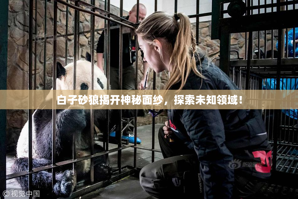 白子砂狼揭开神秘面纱，探索未知领域！