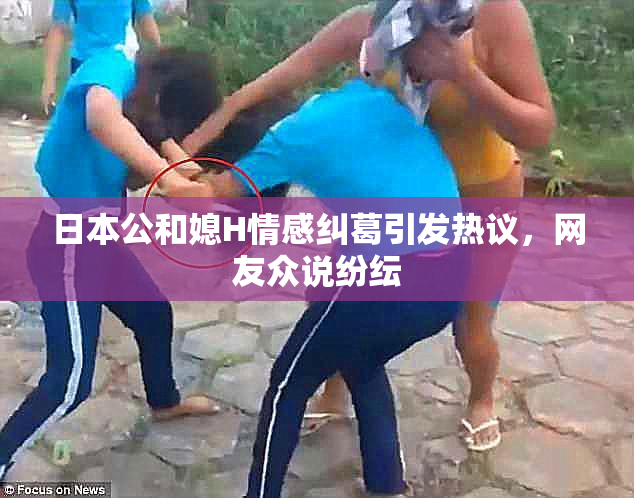 日本公和媳H情感纠葛引发热议，网友众说纷纭