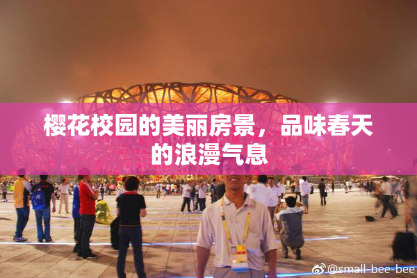 樱花校园的美丽房景，品味春天的浪漫气息