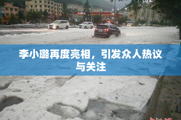 李小璐再度亮相，引发众人热议与关注